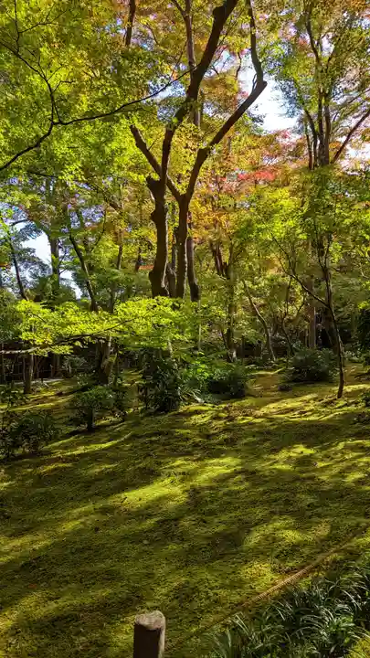 祇王寺(京都府)