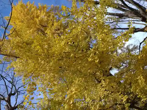 金峯神社(新潟県)