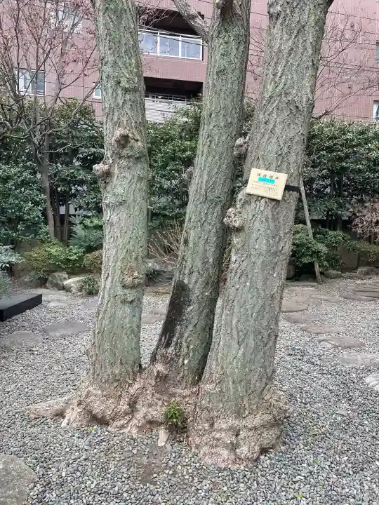 龍泉寺の{uncategorized: "未分類", other: "その他", undefined: "問題あり", building: "その他建物", grave: "お墓", sacred_gate: "鳥居", guardian: "狛犬", statue: "像", buddha: "仏像", history: "歴史", nature: "自然", garden: "庭園", animal: "動物", pagoda: "塔", temizu: "手水舎", mountain_gate: "山門・神門", sanctuary: "本殿・本堂", subordinate: "末社・摂社", art: "芸術", scenery: "景色", jizo: "地蔵", ema: "絵馬", goshuin: "御朱印", omikuji: "おみくじ", items: "授与品その他", amulet: "お守り", goshuincho: "御朱印帳", eats: "食事", festival: "お祭り", votive_dance: "神楽", shichigosan: "七五三参", wedding: "結婚式", experience: "体験その他", initially: "初詣", around: "周辺", anti_infection: "感染症対策"}