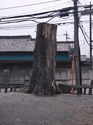 諏訪神社（高萩町）(栃木県)