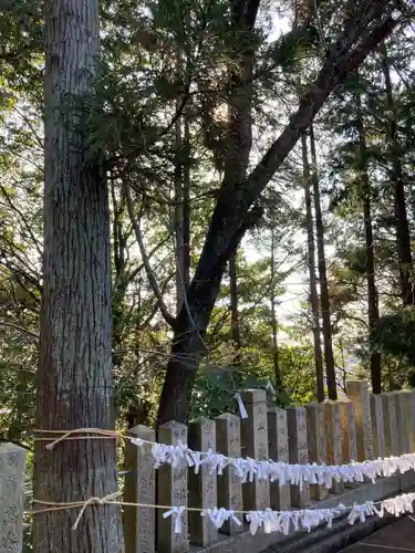 鹿島神社の景色