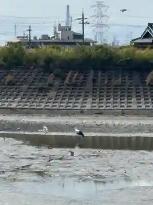天神社（長尾天満宮）(兵庫県)