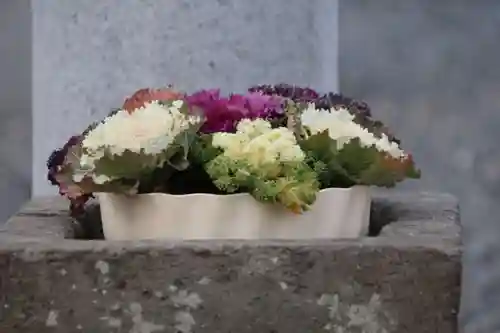 熊野福藏神社の手水舎