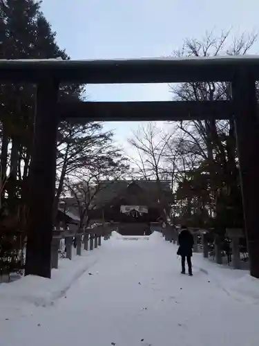 信濃神社の鳥居