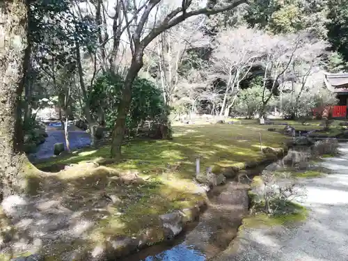 賀茂別雷神社（上賀茂神社）(京都府)