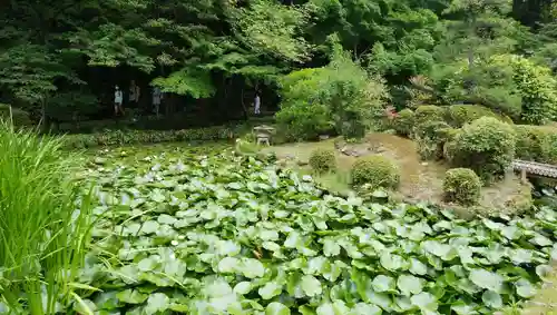 天台宗　長窪山　正覚寺の庭園