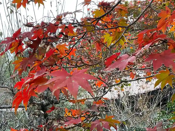 久昌寺(埼玉県)