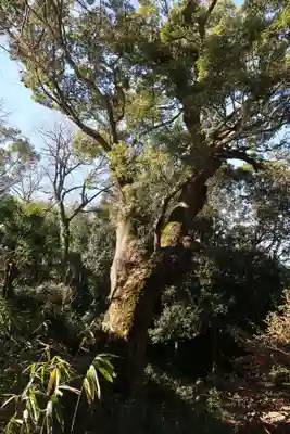 奈良豆比古神社(奈良県)