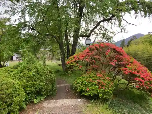 国宝 大法寺の庭園