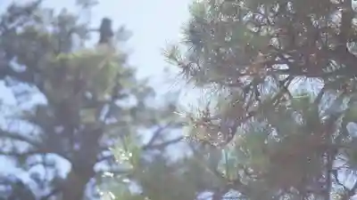 八大神社(京都府)