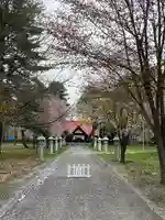 十勝護国神社の本殿・本堂