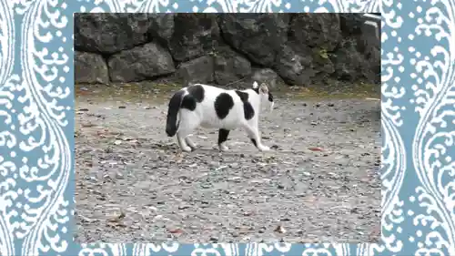 賀茂別雷神社(栃木県)