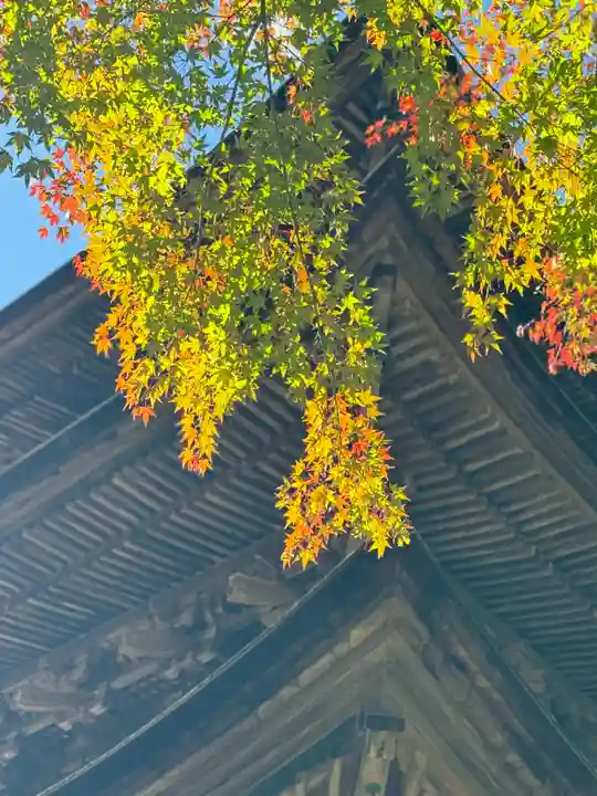 新海三社神社(長野県)