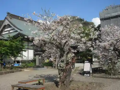 光明寺のその他建物