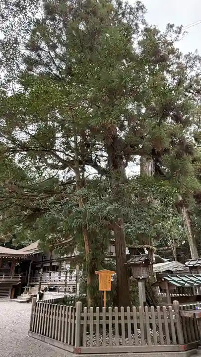 大神神社(奈良県)