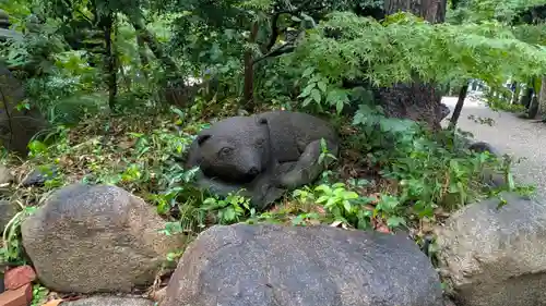 杭全神社(大阪府)