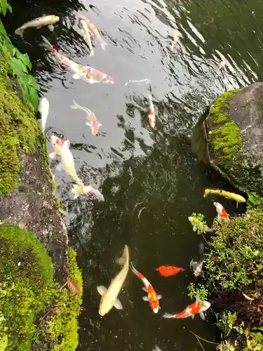 大室山龍渓院の庭園