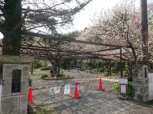 林泉寺の建物その他