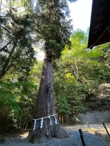 鹿嶋神社(福島県)