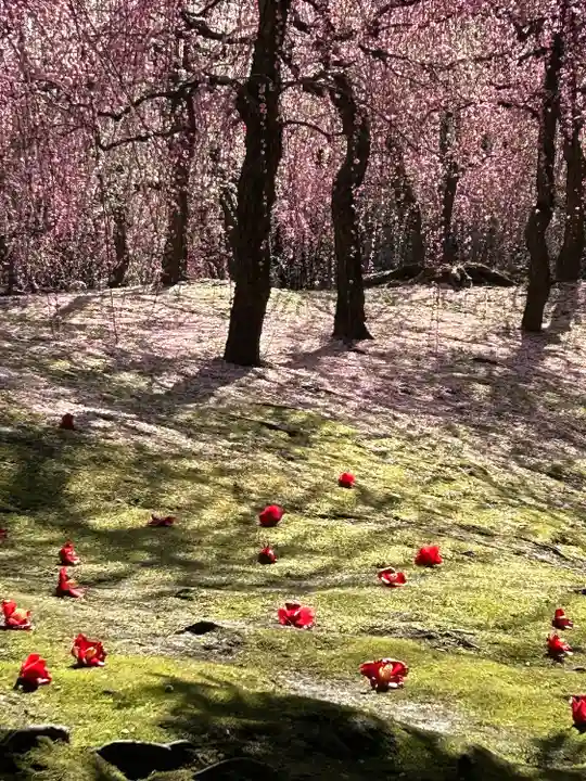 城南宮(京都府)