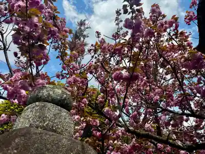 御霊神社(奈良県)