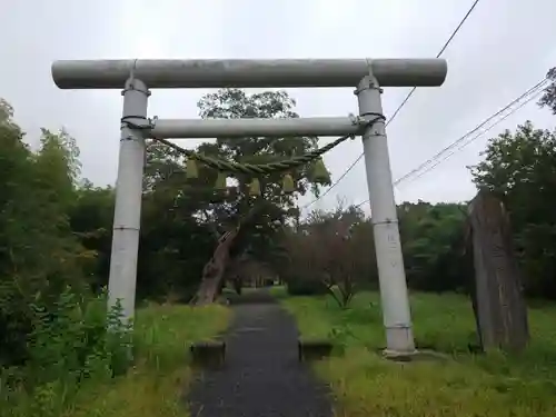 金村別雷神社の鳥居