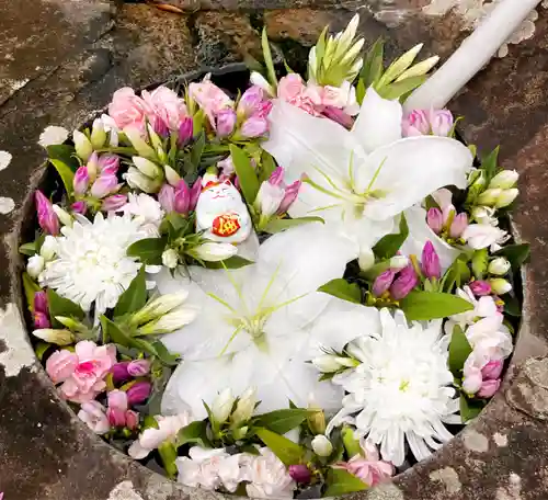 真言宗　善通寺派　薬王寺(香川県)