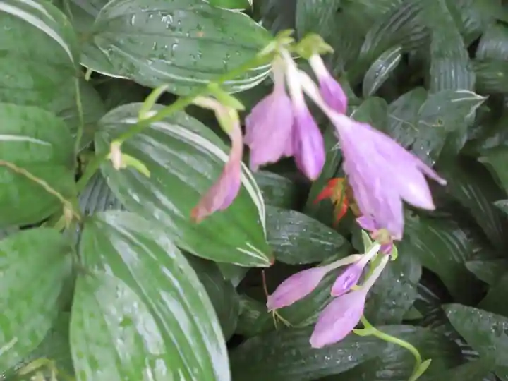 詩仙堂(丈山寺)の庭園