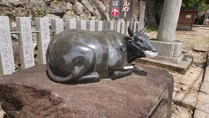 筑波山神社の狛犬
