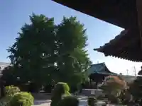長念寺のその他建物