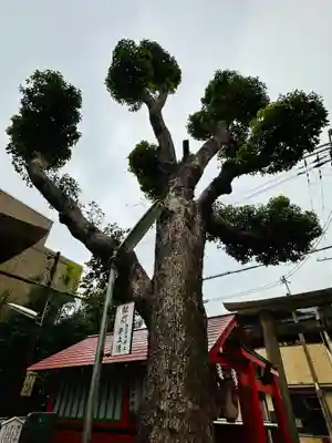 安倍晴明神社（阿倍王子神社境外末社）(大阪府)