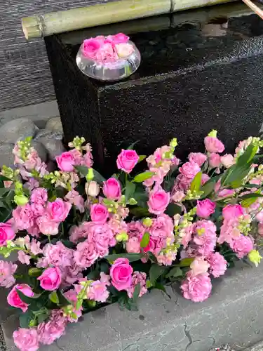 上尾御嶽神社の手水舎