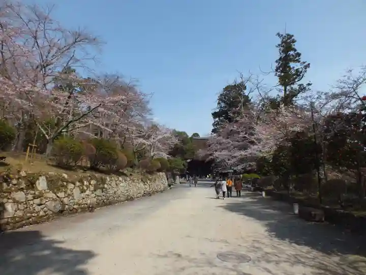 園城寺(三井寺)のその他建物