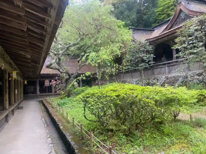 吉野水分神社(吉野町)の{uncategorized: "未分類", other: "その他", undefined: "問題あり", building: "その他建物", grave: "お墓", sacred_gate: "鳥居", guardian: "狛犬", statue: "像", buddha: "仏像", history: "歴史", nature: "自然", garden: "庭園", animal: "動物", pagoda: "塔", temizu: "手水舎", mountain_gate: "山門・神門", sanctuary: "本殿・本堂", subordinate: "末社・摂社", art: "芸術", scenery: "景色", jizo: "地蔵", ema: "絵馬", goshuin: "御朱印", omikuji: "おみくじ", items: "授与品その他", amulet: "お守り", goshuincho: "御朱印帳", eats: "食事", festival: "お祭り", votive_dance: "神楽", shichigosan: "七五三参", wedding: "結婚式", experience: "体験その他", initially: "初詣", around: "周辺", anti_infection: "感染症対策"}