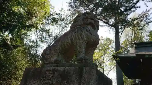 熊野神社の狛犬