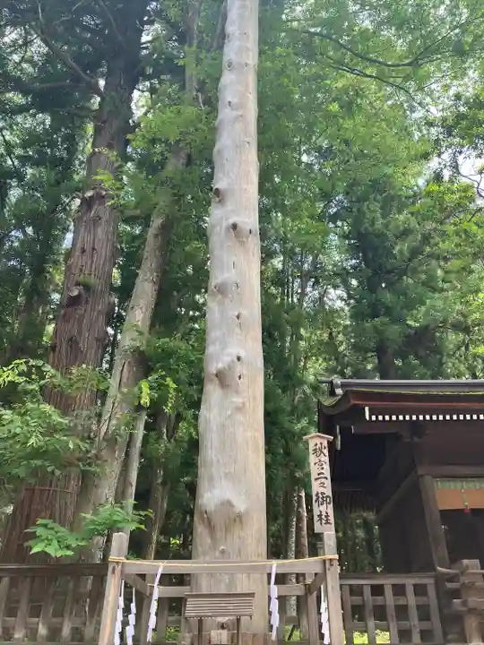 諏訪大社下社秋宮(長野県)