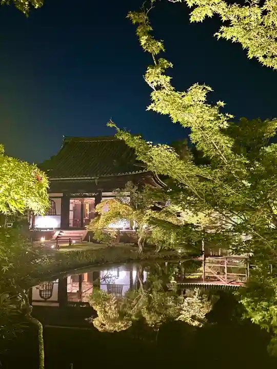 高台寺(高台寿聖禅寺・高臺寺)(京都府)