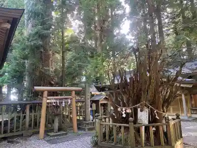 幣立神宮(熊本県)