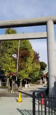 上平井天祖神社の鳥居