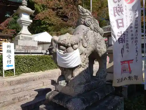 草津八幡宮の狛犬