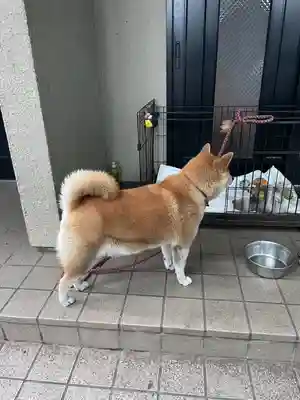 笠䅣稲荷神社(神奈川県)