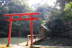 華蔵寺の鳥居