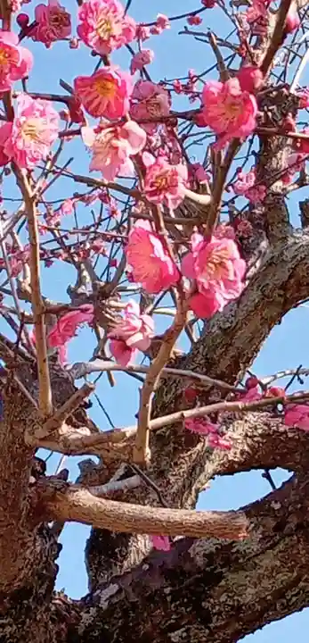 女化神社(茨城県)