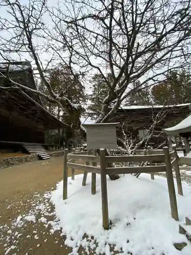 壇上伽藍(和歌山県)