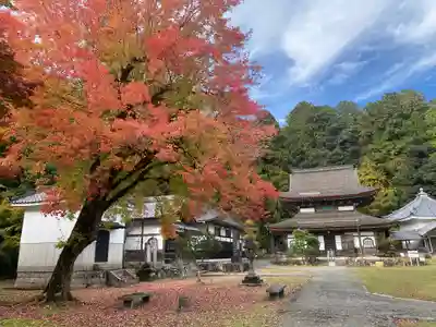 天寧寺(京都府)