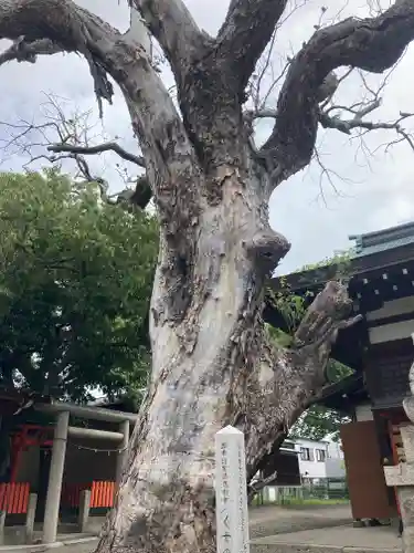 金岡神社(大阪府)