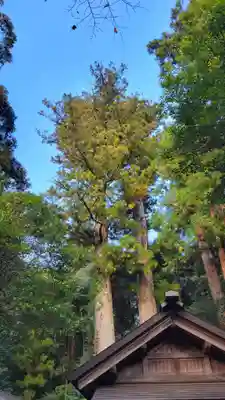 瀧原宮(皇大神宮別宮)(三重県)