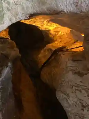 龍王神社の自然