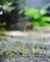 浄土寺(兵庫県)