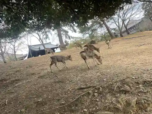 東大寺戒壇院戒壇堂(奈良県)